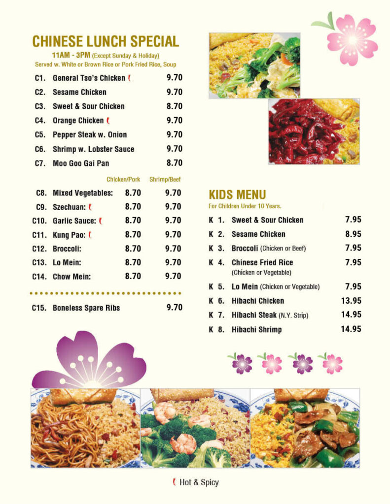 Chinese Lunch Specials and Kids Menu at New Asian Bistro, Hometown, PA.